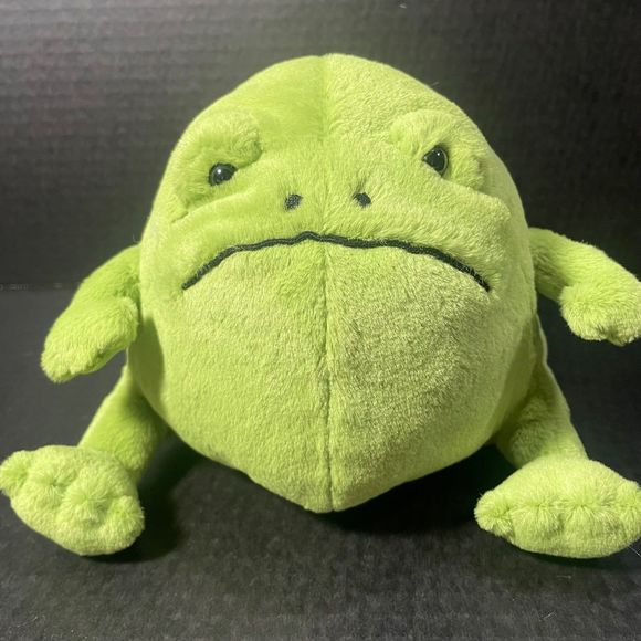 Jellycat Other - BNWT JELLYCAT RICKY RAINFROG GREAT GIFT